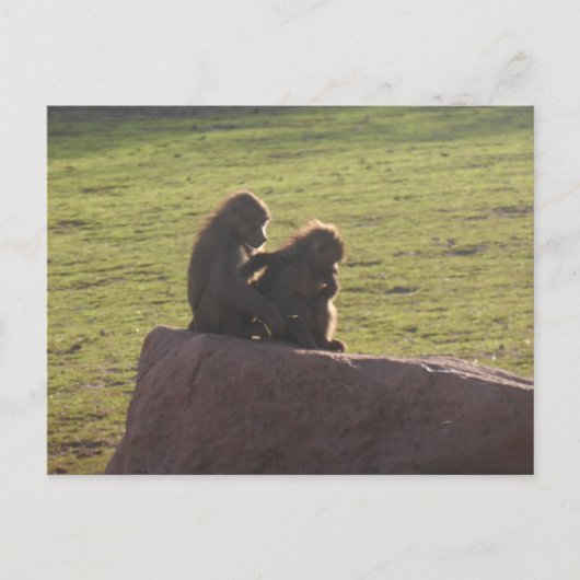 Geldvrienden Briefkaart (Voorkant)