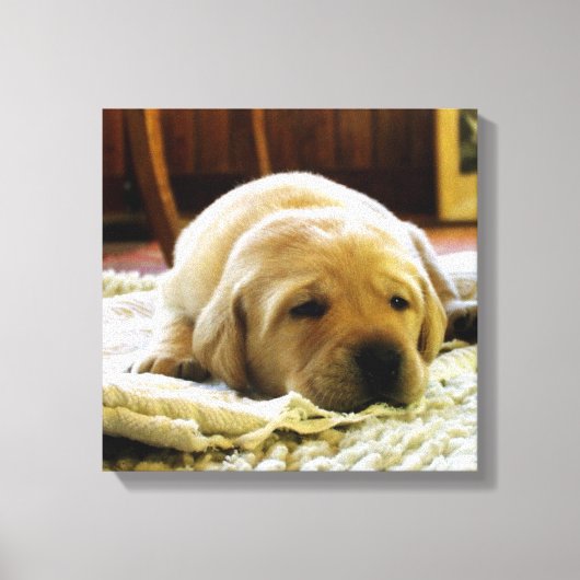 gele 2-labpuppy canvas afdruk (Voorkant)