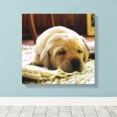 gele 2-labpuppy canvas afdruk (Insitu (Houten vloer))