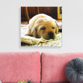 gele 2-labpuppy canvas afdruk (Insitu (Woonkamer))
