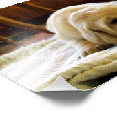gele 2-labpuppy foto afdruk (Hoek)