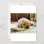 gele 2-labpuppy magnetische uitnodiging (Voorkant)