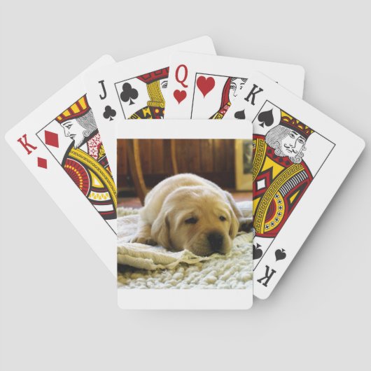 gele 2-labpuppy pokerkaarten (Achterkant)