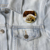 gele 2-labpuppy ronde button 5,7 cm (In situ)