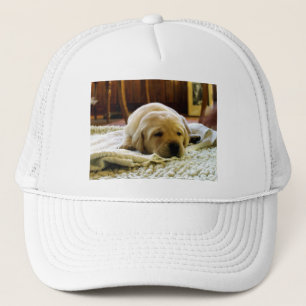 gele 2-labpuppy trucker pet