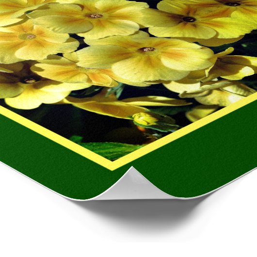 Gele Abstracte primrose Spring Flowers Poster (Hoek)