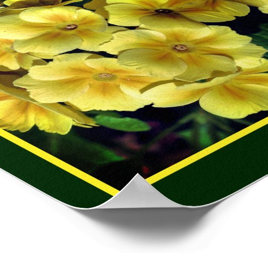 Gele Abstracte primrose Spring Flowers Poster (Hoek)