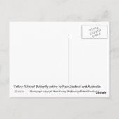 Gele admirale vlinder briefkaart (Achterkant)