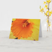 Gele affodil ventilator Sluiten Nota Kaart (Gele Bloem)