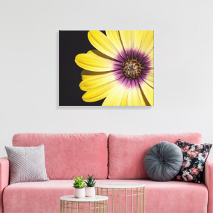 Gele Afrikaanse margriet op zwarte bloemen Canvas Afdruk