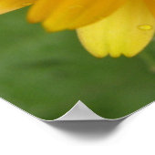 Gele Afrikaantje Macro Print (Hoek)