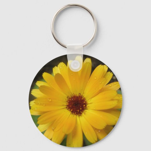 Gele Afrikaner Macro Sleutelhanger (Voorkant)