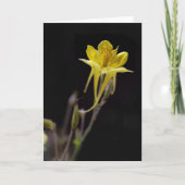 Gele Akelei Kaart (Voorkant)