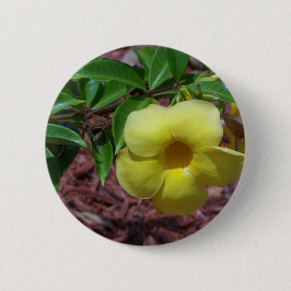 Gele alamandbloem ronde button 5,7 cm