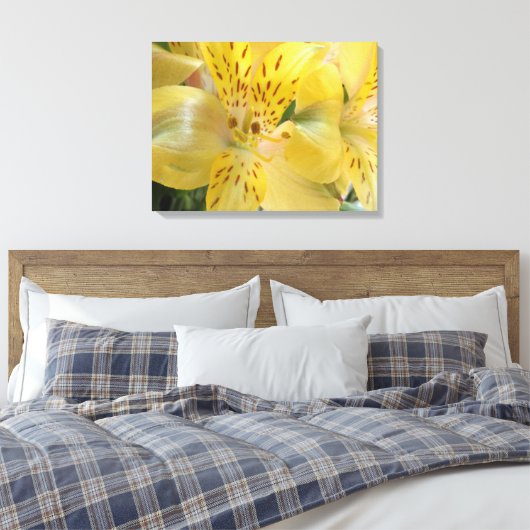 Gele alstroemeria Stretched Canvas Afdrukken (Insitu (Slaapkamer))