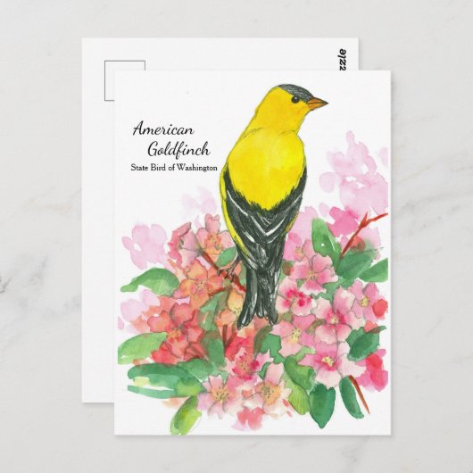 Gele Amerikaanse goudvink State Bird of Washington Briefkaart (Voorkant / Achterkant)