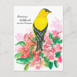 Gele Amerikaanse goudvink State Bird of Washington Briefkaart