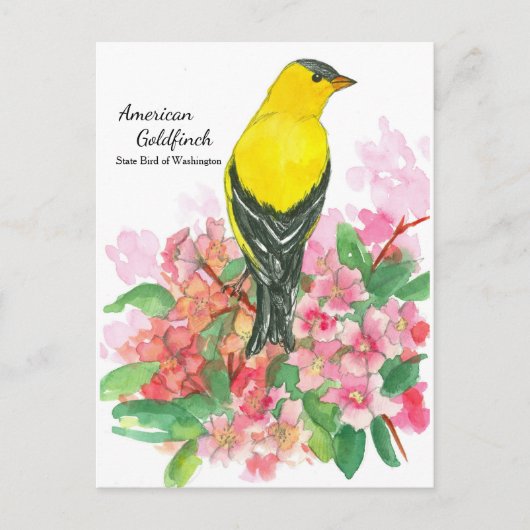 Gele Amerikaanse goudvink State Bird of Washington Briefkaart (Voorkant)