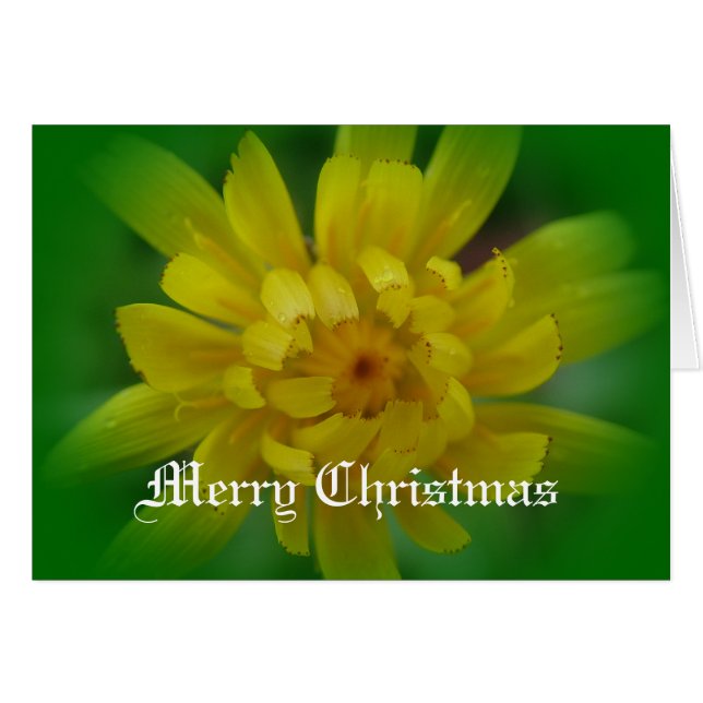 Gele andelion flower kerstkaart. (Voorkant Horizontaal)