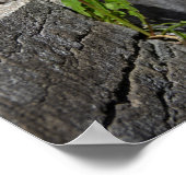 Gele andelion in het voorjaar poster (Hoek)