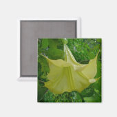Gele Angel's Trumpet Magnet (Voorkant / Achterkant)