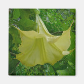 Gele Angel's Trumpet Magnet (Voorkant)