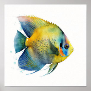 Gele angelvis met kop in het poster van de waterve