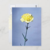 Gele anjerbloemen briefkaart (Voorkant / Achterkant)