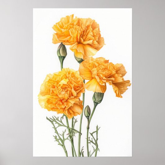 Gele anjers Bloemen Art Print Poster (Voorkant)