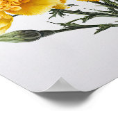Gele anjers Bloemen Art Print Poster (Hoek)