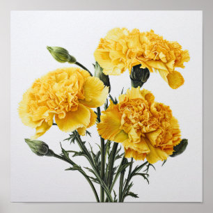 Gele anjers Bloemen Art Print Poster