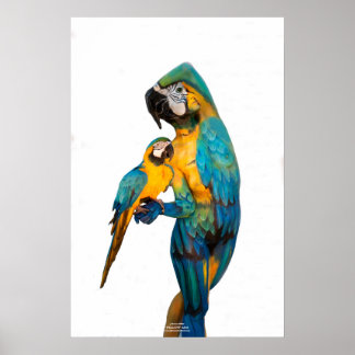 Gele Ara van Johannes Stötter Poster