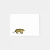 gele armadillo illustratie post-it® notes (Voorkant)