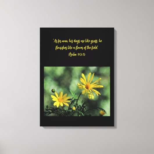 Gele Aster Wilde Bloemen Canvasprint Canvas Afdruk (Voorkant)