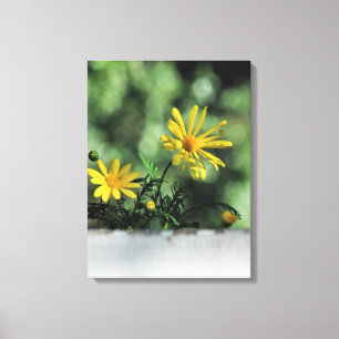 Gele Aster Wildflower Canvas Afdrukken