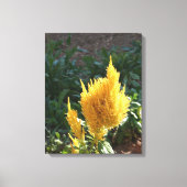 Gele Astilbe bloem Canvas Afdruk (Voorkant)