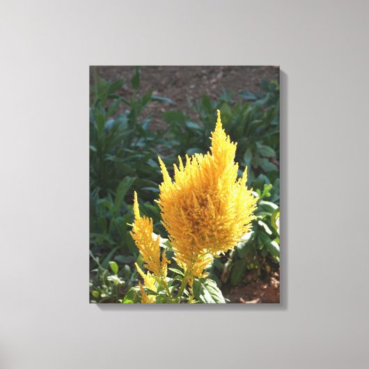 Gele Astilbe bloem Canvas Afdruk (Voorkant)