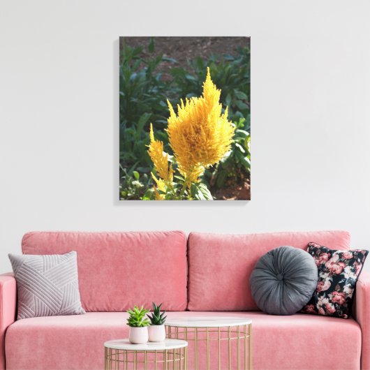 Gele Astilbe bloem Canvas Afdruk (Insitu (Woonkamer))