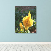 Gele Astilbe bloem Canvas Afdruk (Insitu (Houten vloer))