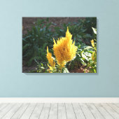 Gele Astilbe bloem Canvas Afdruk (Insitu (Houten vloer))