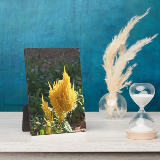 Gele Astilbe bloem Fotoplaat (Zijkant)