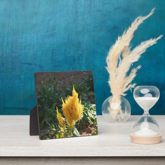 Gele Astilbe bloem Fotoplaat (Insitu)