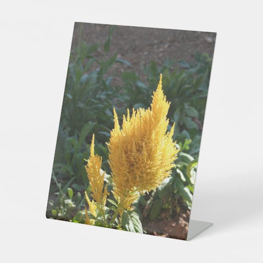 Gele Astilbe bloem Reclamebord Met Voetstuk (Voorkant)