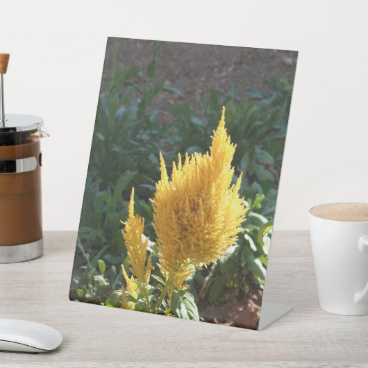 Gele Astilbe bloem Reclamebord Met Voetstuk (Insitu)