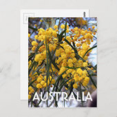 Gele Australische waterboombloesem 2 Briefkaart (Voorkant / Achterkant)