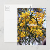Gele Australische wattenboombloesems Briefkaart (Voorkant / Achterkant)