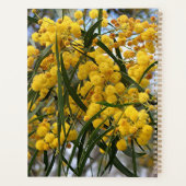Gele Australische wattenboombloesems Planner (Achterkant)