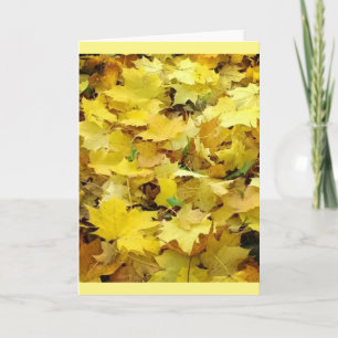 Gele Autumn Leaves Kaart