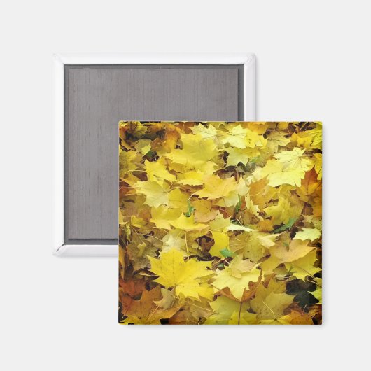 Gele Autumn Leaves Magneet (Voorkant / Achterkant)