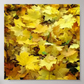 Gele Autumn Leaves Poster (Voorkant)